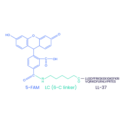 5-FAM-LL-37 (šifrovano) CAS 2022972-73-0