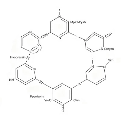 CAS 1488411-60-4 Invopressin